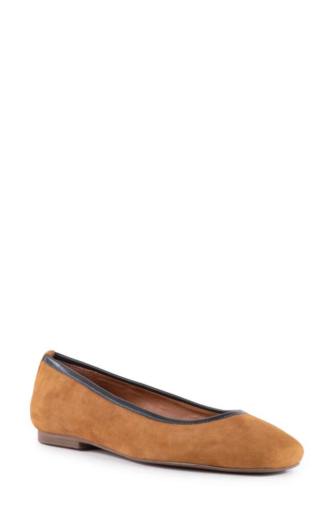 Seychelles City Streets Ballet Flat in Cognac Cover