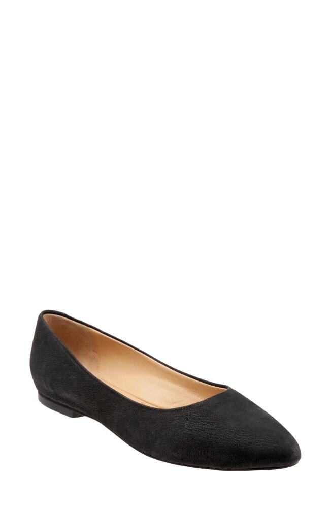 Trotters Estee Ballet Flat in Black Nubuck Cover