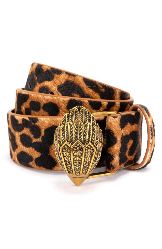 Kurt Geiger London Genuine Calf Hair Eagle Buckle Belt in Leopard/Antique Brass Cover