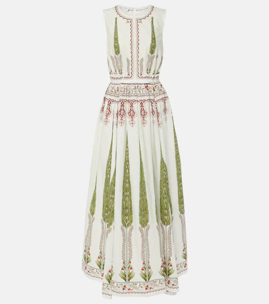 Giambattista Valli Printed cotton poplin maxi dress Cover