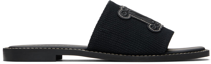 Max Mara Black Geneve Sandals Cover