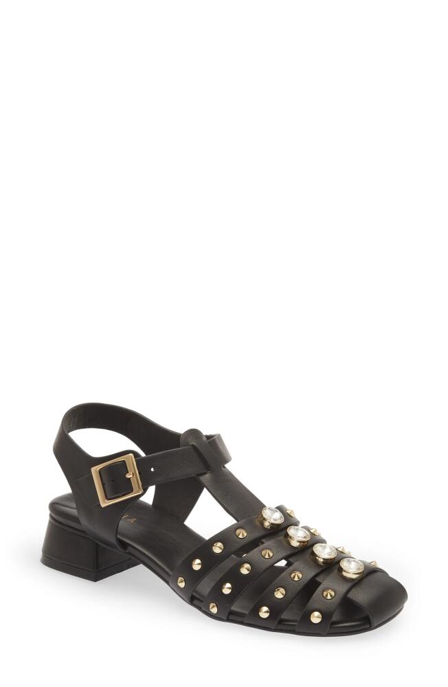 Cecelia New York Gigi Sandal in Black Leather Cover