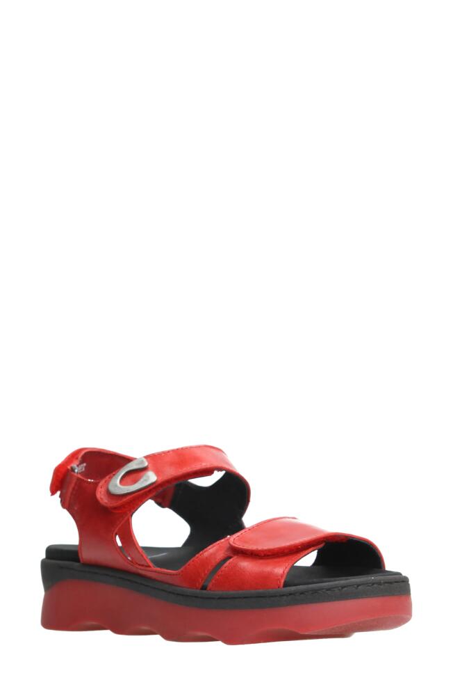 Wolky Medusa Sandal in Red Reflex Leather Cover