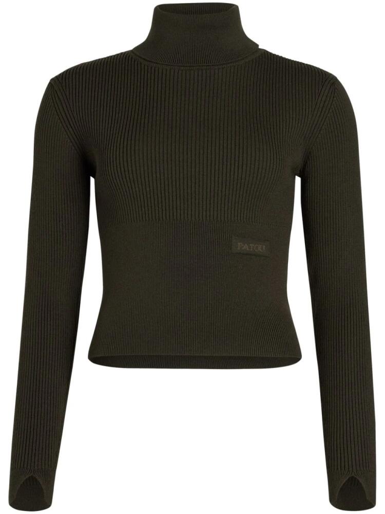 Patou ribbed roll-neck sweater - Green Cover