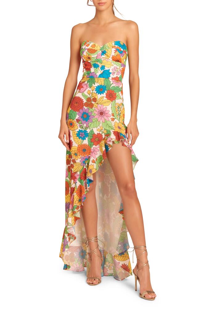 Amanda Uprichard Eden Floral Ruffle High-Low Gown in Poppy Floral Cover