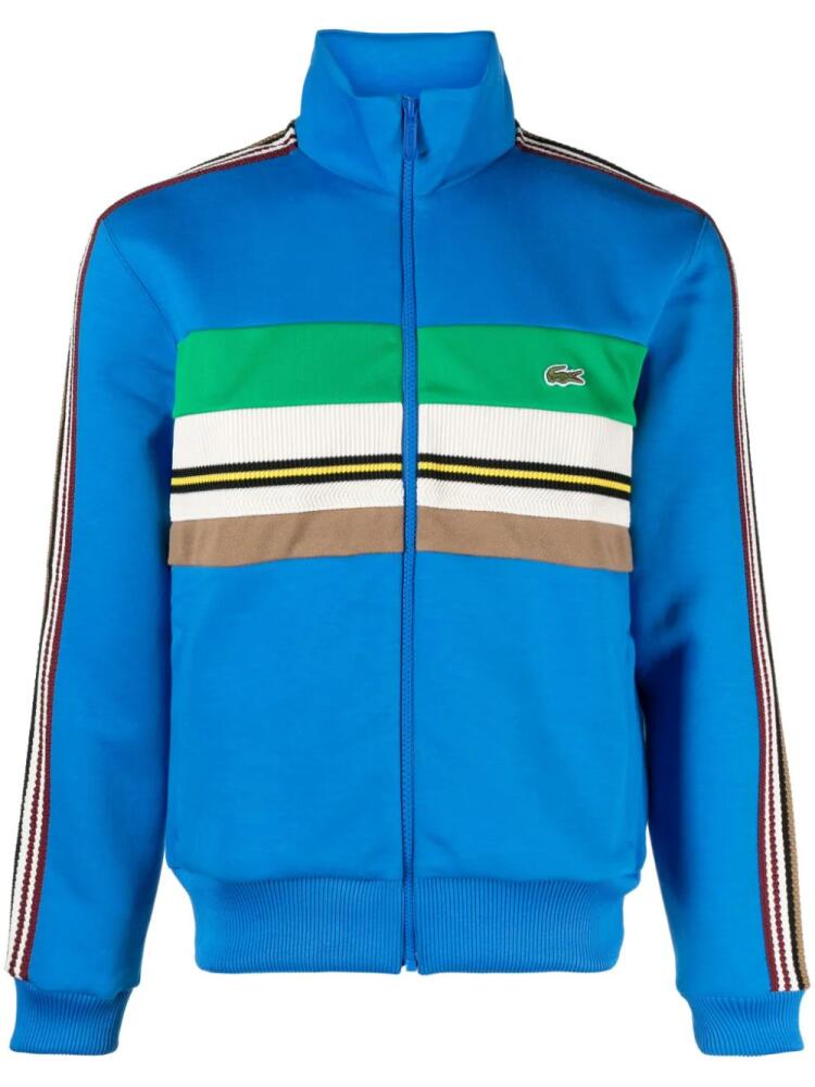 Lacoste logo-embroidered striped track jacket - Blue Cover