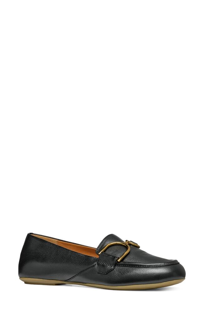 Geox Palmaria Loafer in Black Cover