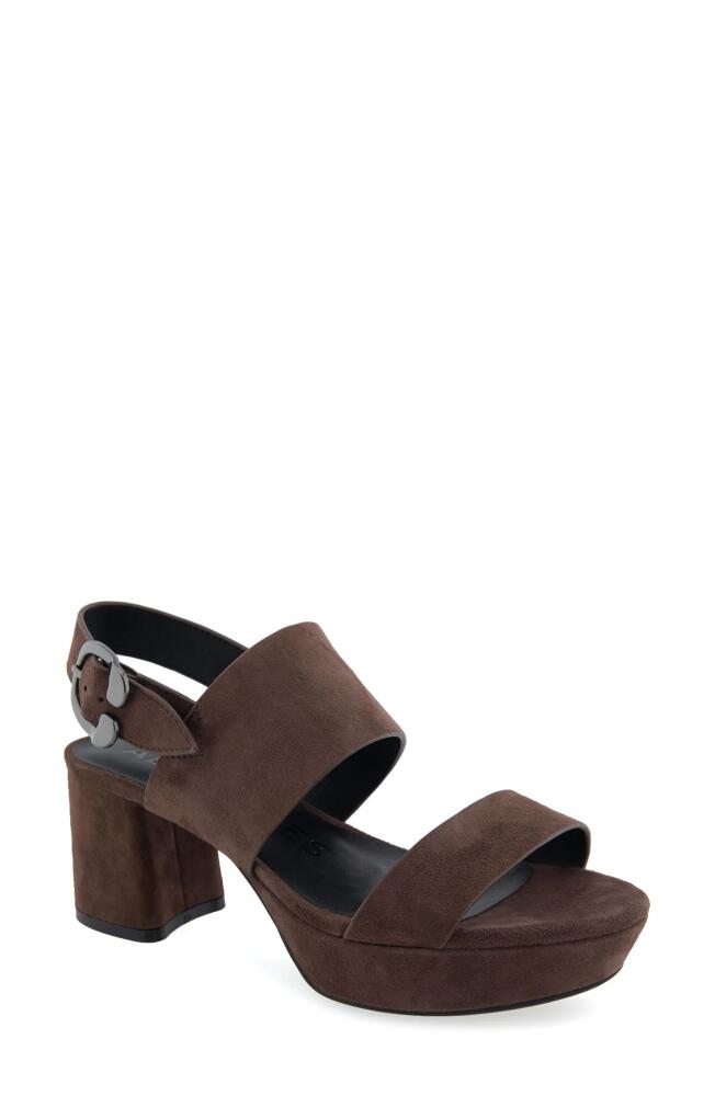 Aerosoles Camera Platform Sandal in Java Suede Cover