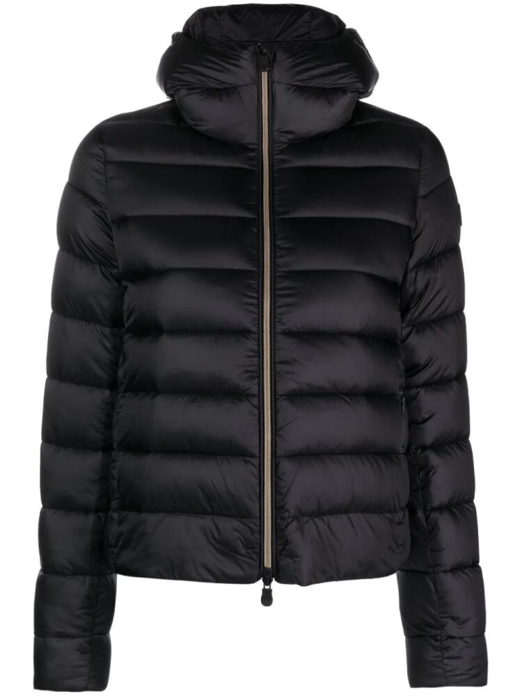 Save The Duck Iris padded jacket - Black Cover