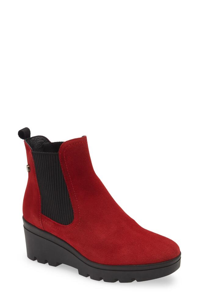 Toni Pons Radom Wedge Chelsea Boot in Vermell Cover