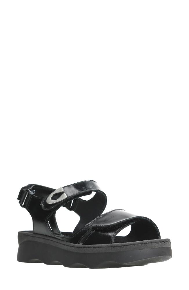 Wolky Medusa Sandal in Black Reflex Leather Cover