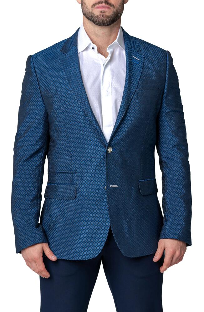 Maceoo Socrates Luxor Blue Stretch Sport Coat Cover