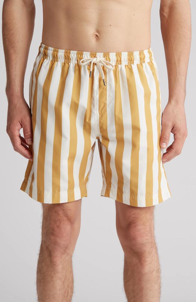 Nordstrom 8-Inch Classic Swim Trunks in Limonite Resort Stripe Cover