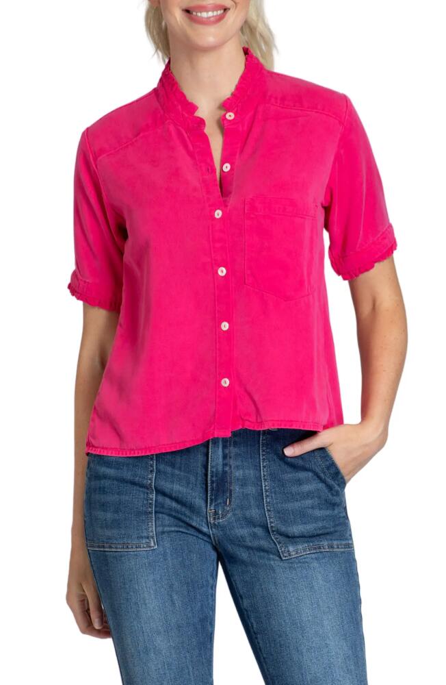 APNY Short Sleeve Button-Up Shirt in Pink Cover