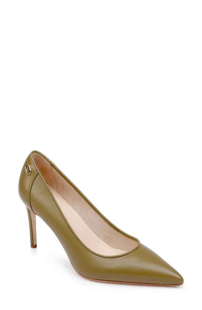 Dee Ocleppo Santorini Pointed Toe Pump in Moss Leather Cover