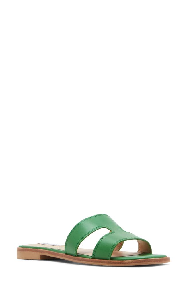 Steve Madden Hazel Slide Sandal in Green Leather Cover