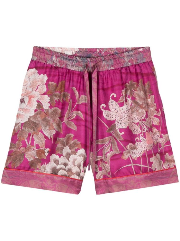 Pierre-Louis Mascia Aloe floral-print silk shorts - Purple Cover