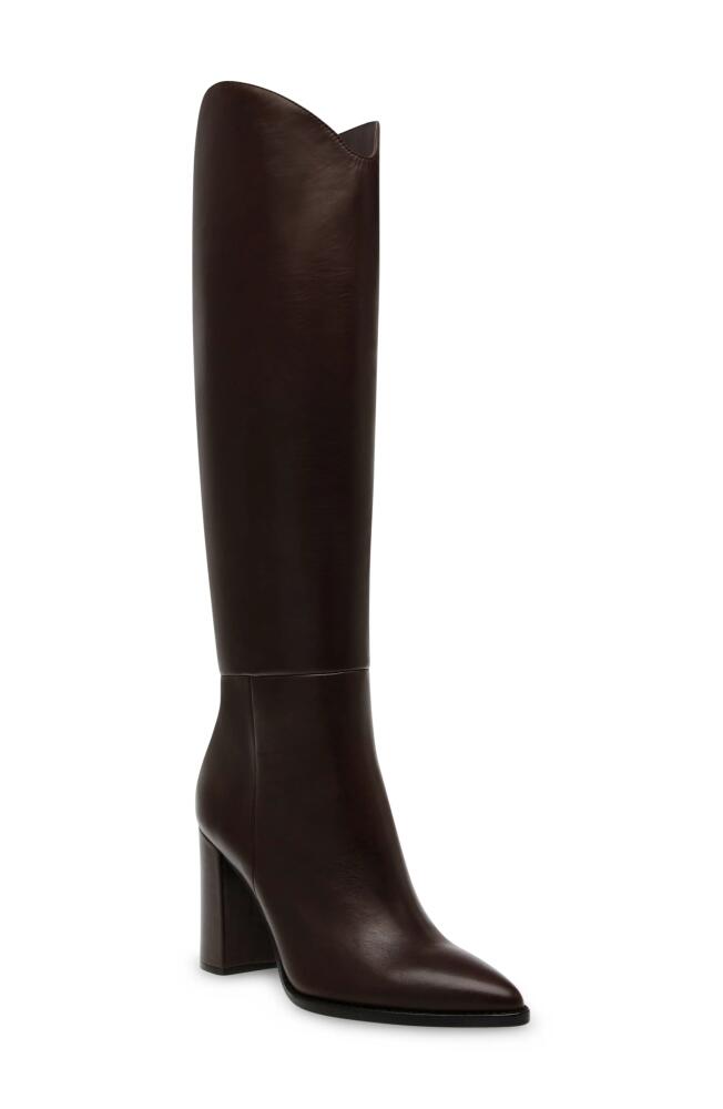 Steve Madden Bixby Pointed Toe Knee High Boot in Dark Brown Leather Cover