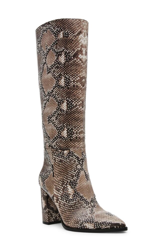 Steve Madden Brittan Knee High Boot in Snake Cover