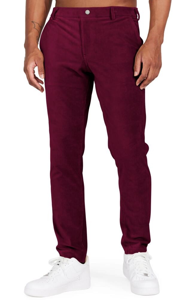 Redvanly Collins Corduory Golf Pants in Burgandy Cover