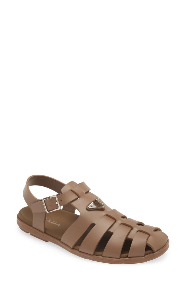 Prada Rubber Fisherman Sandal in Moka Cover