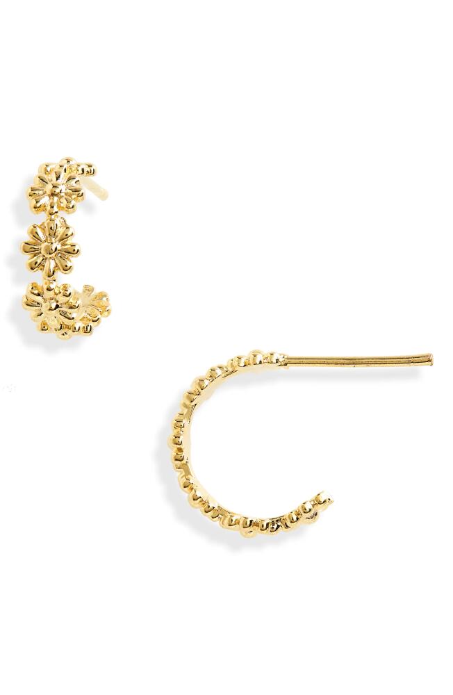 Estella Bartlett Daisy Chain Hoop Earrings in Gold Cover