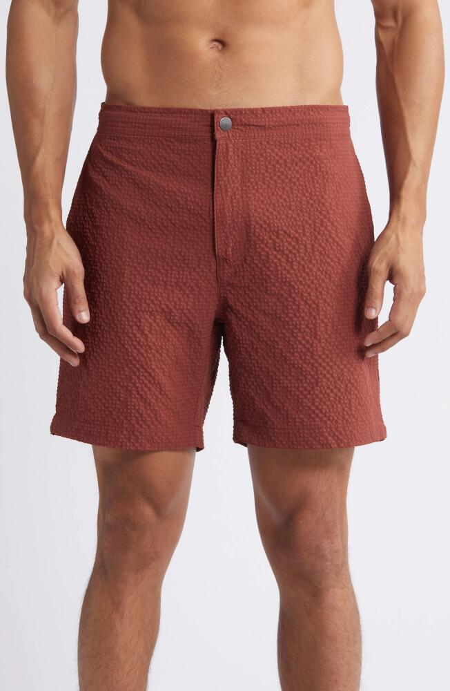 Nordstrom Flat Front Seersucker Swim Trunks in Brown Stable Cover