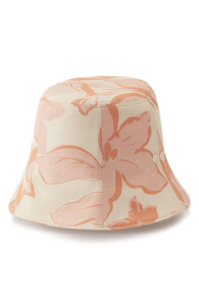 Helen Kaminski Bettina Floral Bucket Hat in Parchment Blend Cover