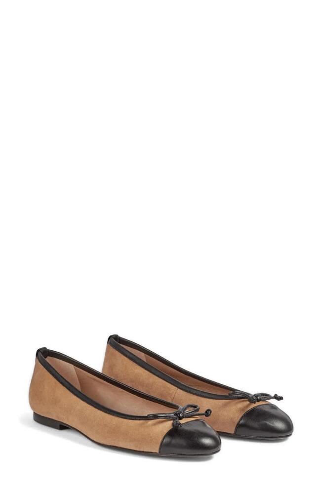 LK Bennett Kara Ballet Flat in Sand Black Cover