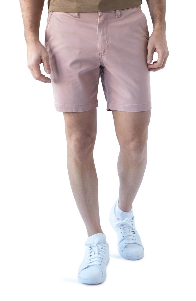 Devil-Dog Dungarees 7-Inch Performance Stretch Chino Shorts in Dusty Mauve Cover