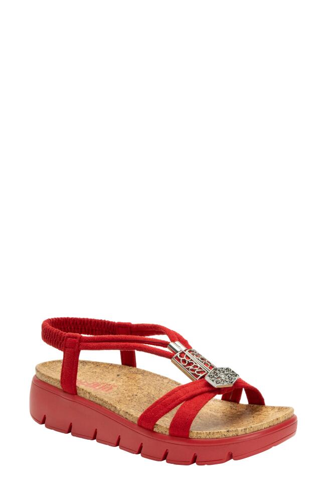 Alegria by PG Lite Roz Sandal in True Red Cover