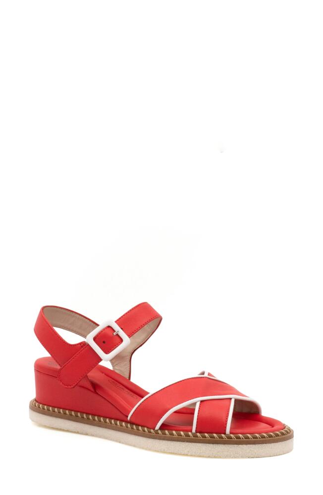 Amalfi by Rangoni Montecarlo Wedge Sandal in Coral/White Parma Combo Cover