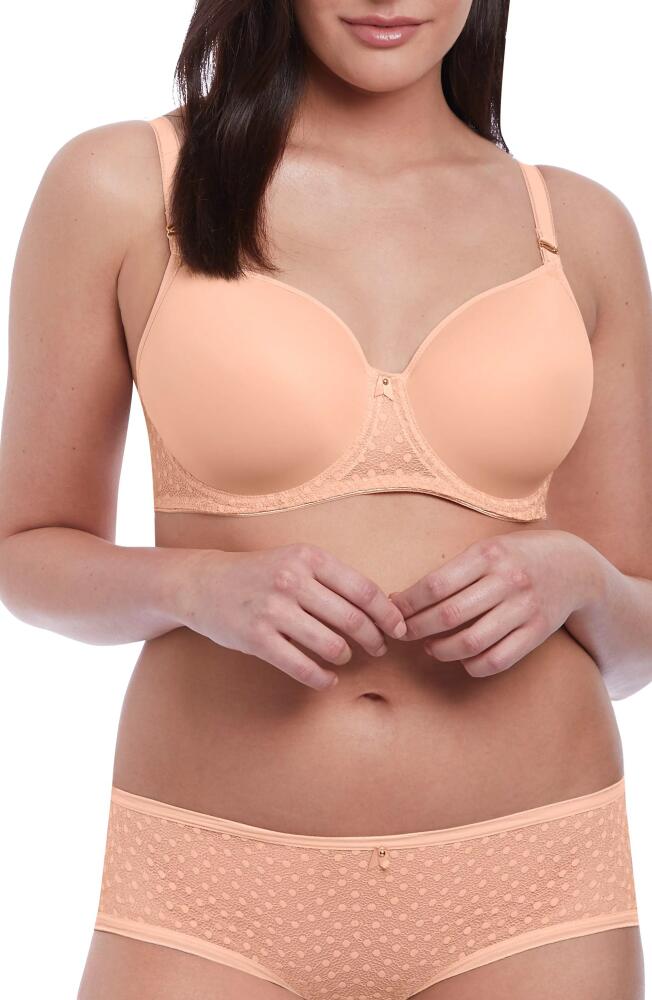 Freya Starlight Idol Underwire Bra in Caramel Cover