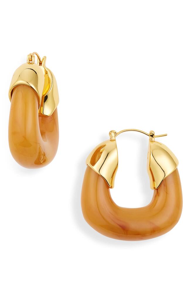 Lizzie Fortunato Organic Hoop Earrings in Mocha Cover