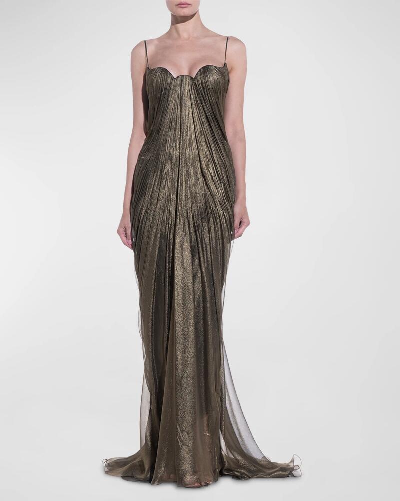 Maria Lucia Hohan Alaya Draped Metallic Silk Gown Cover