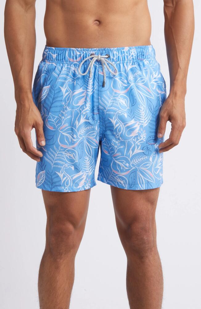 Vintage Summer Tropical Print Water Repellent Swim Trunks in Blue Cover