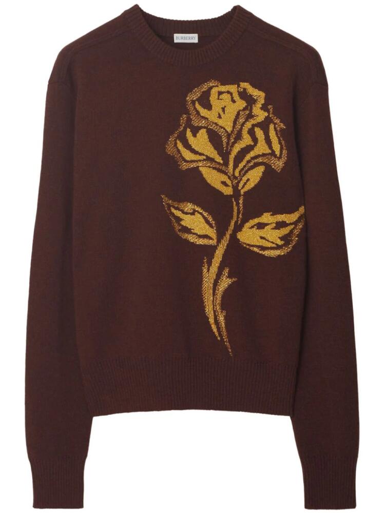 Burberry rose intarsia-knit jumper - Brown Cover