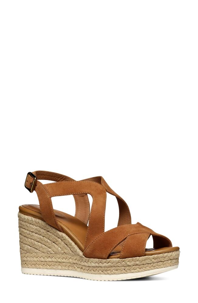 Geox Ponza Espadrille Sandal in Cognac Cover