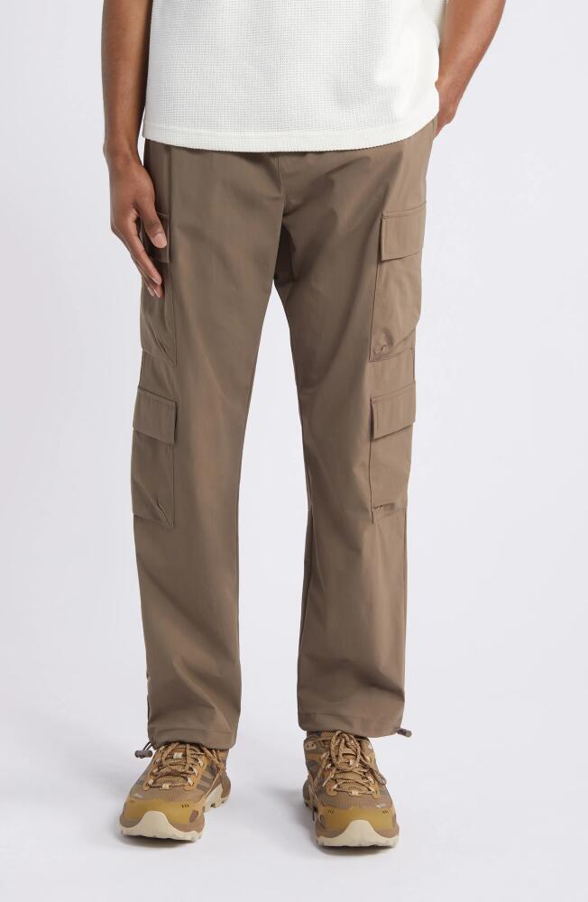 PacSun Harvey Drawstring Stretch Cargo Pants in Brown Cover