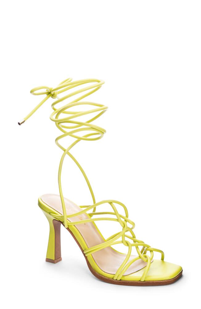 42 Gold Lava Ankle Tie Sandal in Green Cover