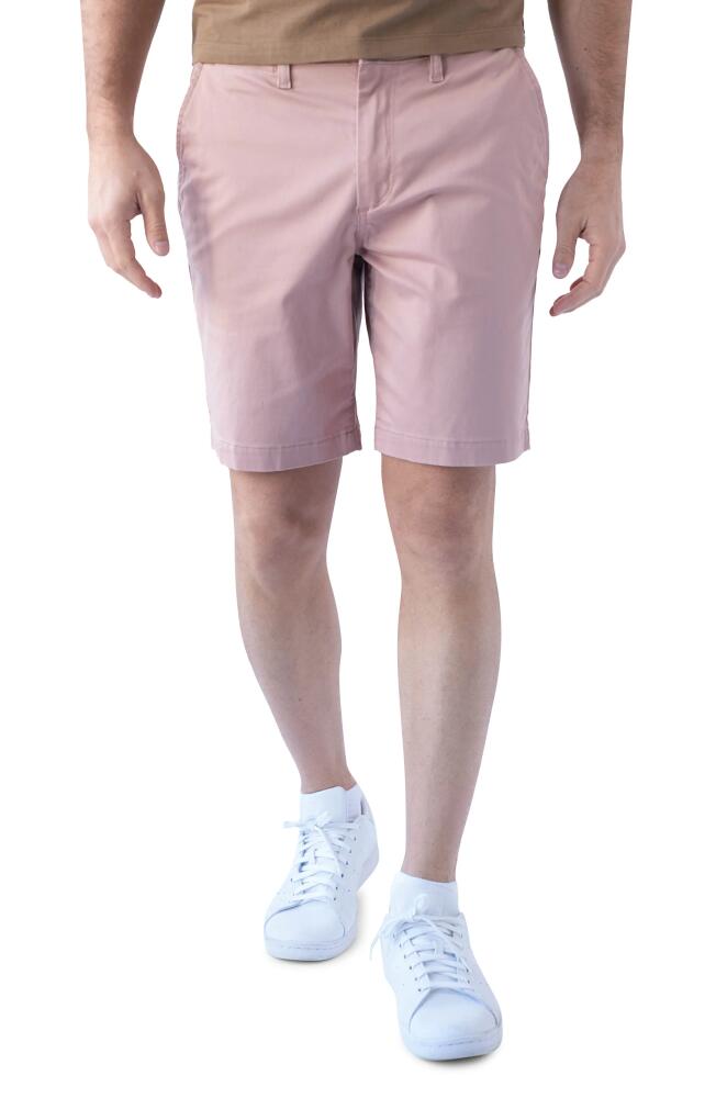 Devil-Dog Dungarees 9-Inch Performance Stretch Chino Shorts in Dusty Mauve Cover