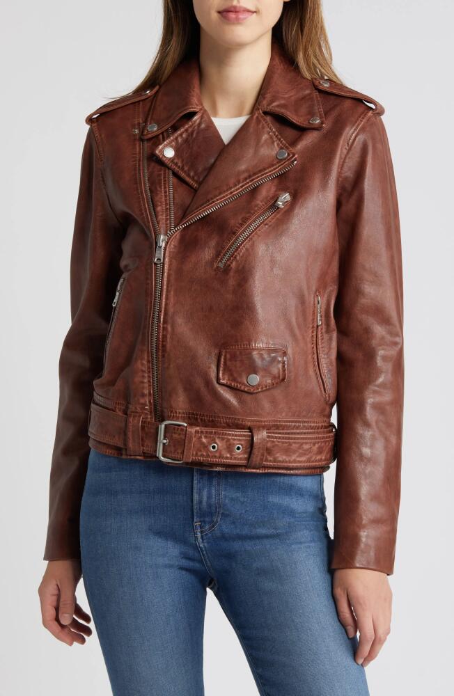 Avec Les Filles Lambskin Leather Double Zip Moto Jacket in Coffee Cover