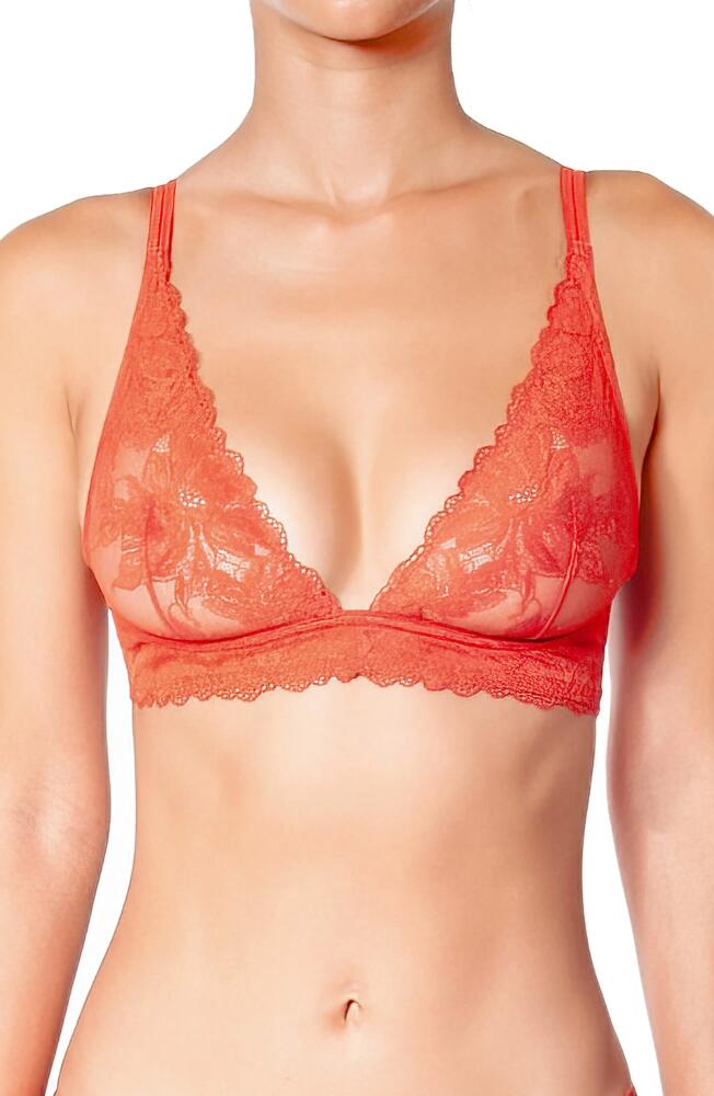 Huit Brandy Wireless Bra in Brick Cover