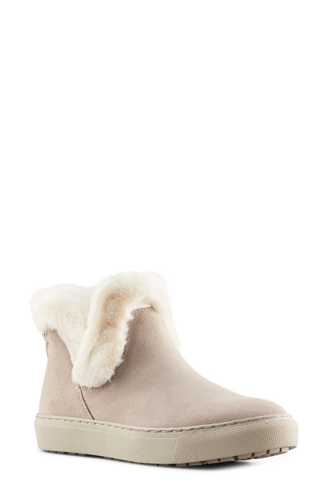 Cougar Duffy Faux Fur Trim Waterproof Bootie in Mushroom Cover