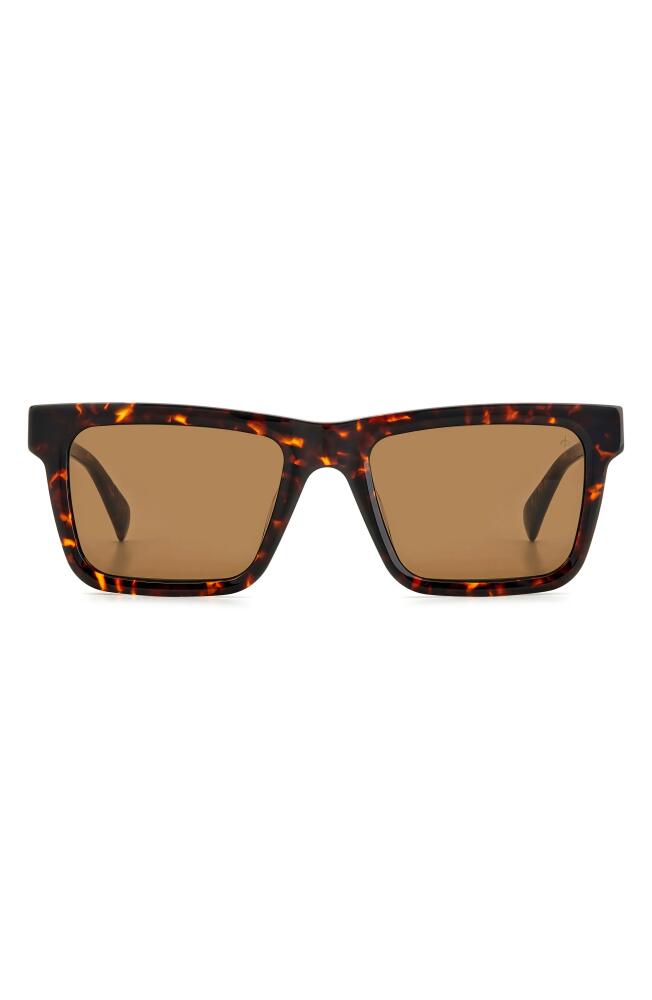 rag & bone 54mm Rectangular Sunglasses in Havana/Brown Cover