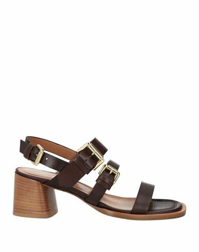 Guglielmo Rotta Woman Sandals Dark brown Leather Cover