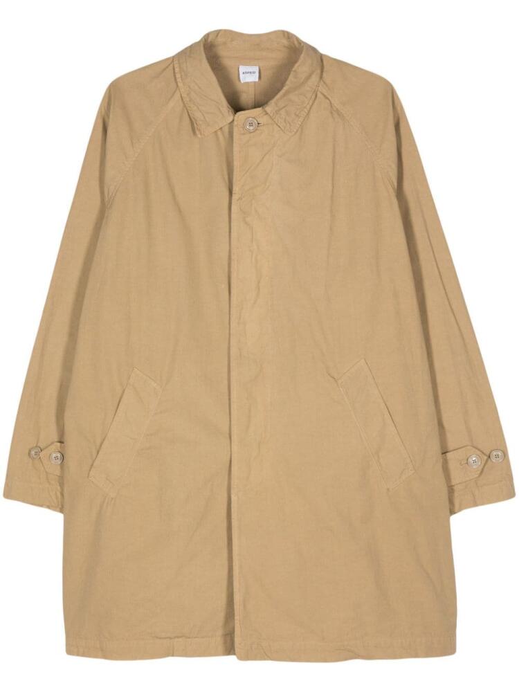 ASPESI cotton midi trench coat - Brown Cover