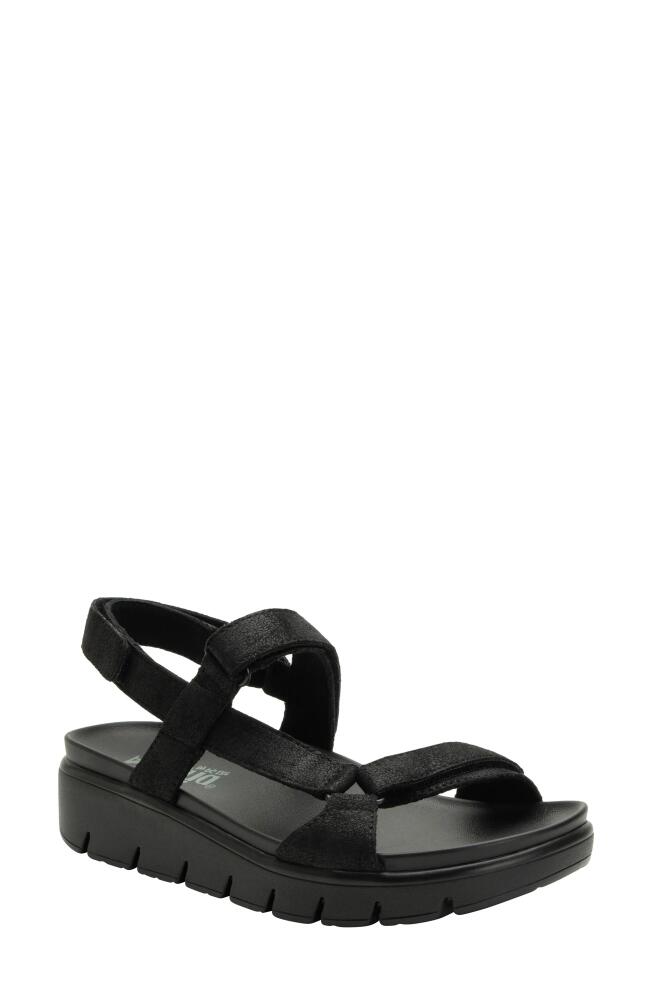 Alegria by PG Lite Henna Sandal in They Call Me Mellow Black Cover