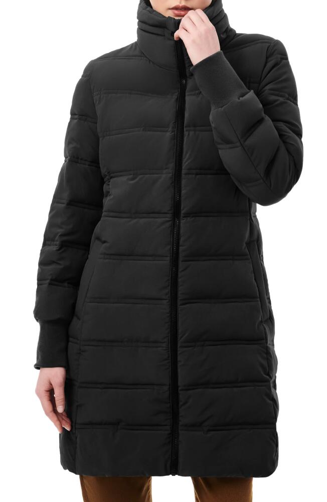 Bernardo Stand Collar Puffer Jacket in Black Cover