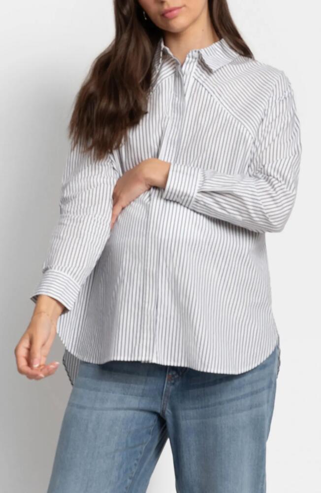 Seraphine Pinstripe Maternity/Nursing Button-Up Shirt in White Cover